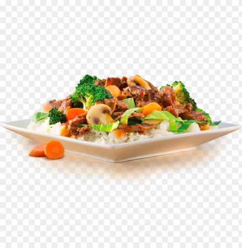 Meal Transparent Images Pluspng - Food HighQuality PNG Isolated Illustration