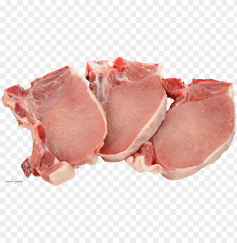 Meat Food Background Transparent PNG Isolated Illustration