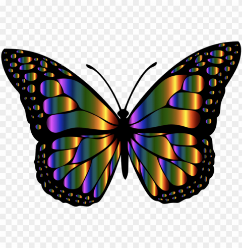 medium - monarch butterfly butterfly clip art Transparent PNG Image Isolation