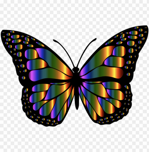 medium - monarch butterfly butterfly clip art Transparent PNG Image Isolation PNG transparent with Clear Background ID f6e39df6