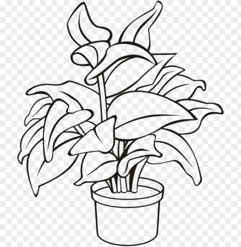 medium image - potted plant clipart black and white Clear Background PNG Isolated Graphic