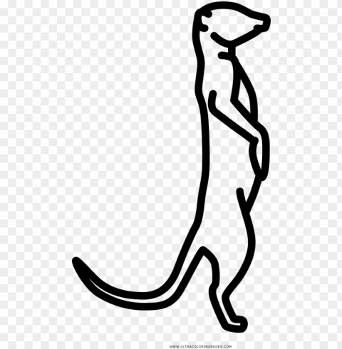 meerkat coloring page - figure drawi Isolated Item with Transparent PNG Background
