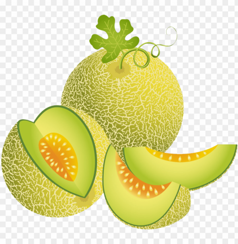 melon illustration green transprent free download - melon vector High-quality PNG images with transparency