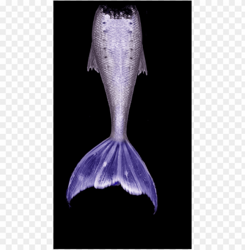 mermaid tail Isolated Character in Transparent PNG Format