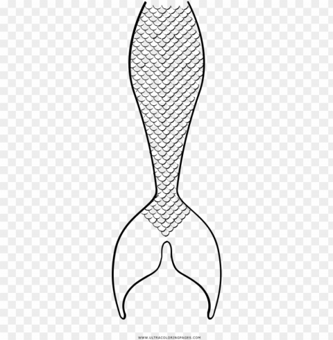 Mermaid Tail Coloring Page - Line Art PNG With No Background For Free