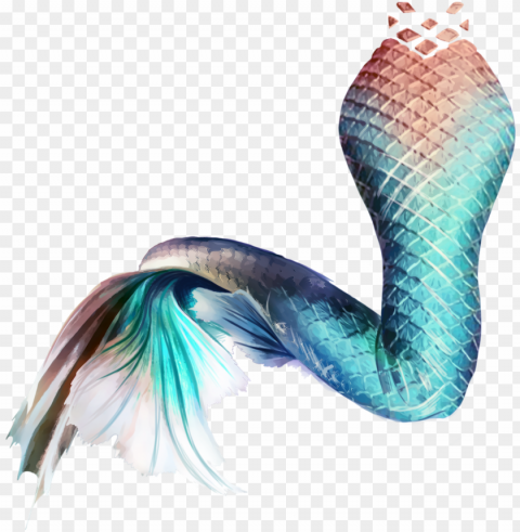 mermaid tail sticker HighQuality PNG with Transparent Isolation