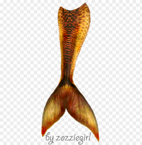 mermaid tail transparent - mermaid tail transparent PNG graphics with clear alpha channel selection