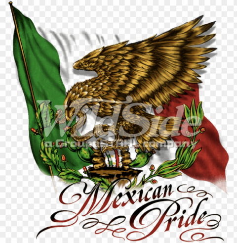 mexican pride Transparent Background Isolation of PNG