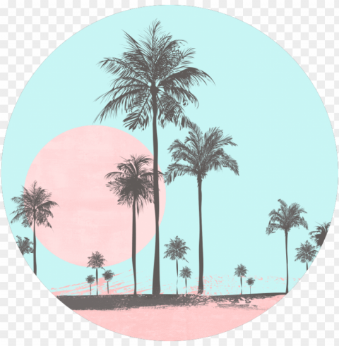 miami beach - minimalist wallpaper hd iphone palm PNG with transparent background free