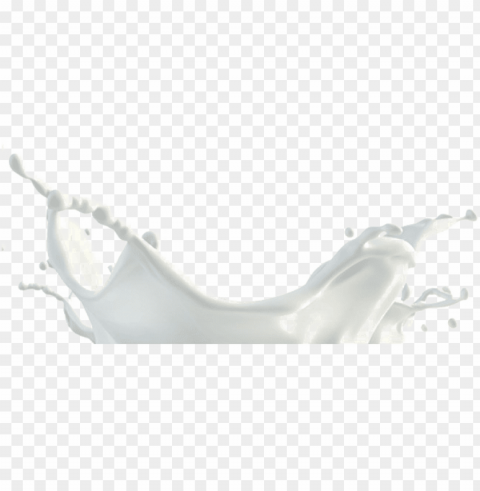 milk splash vector Isolated Artwork on Transparent PNG
