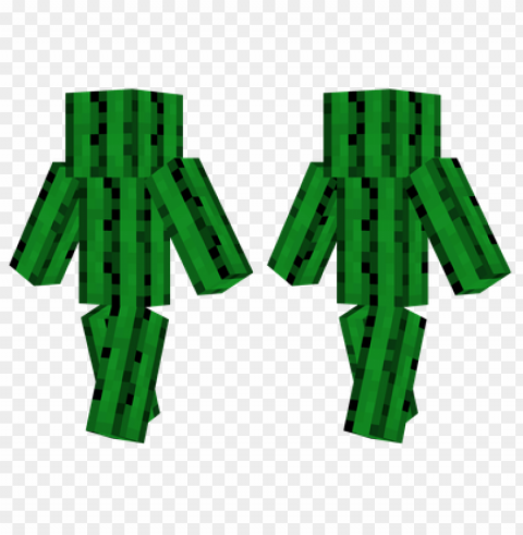 minecraft skins cactus skin Transparent PNG Isolated Item with Detail