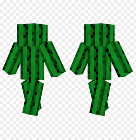 minecraft skins cactus skin Transparent PNG Isolated Item with Detail PNG transparent with Clear Background ID 89294379