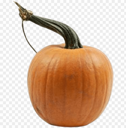 mini pumpkins - pumpki Clear Background Isolated PNG Illustration PNG transparent with Clear Background ID 2afbd4f8
