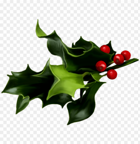 mistletoe PNG for design PNG transparent with Clear Background ID 76ed38fc