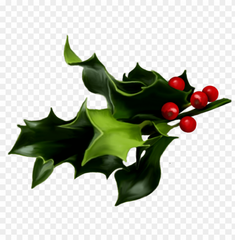 mistletoe PNG with clear background set images Background - image ID is 546ab942