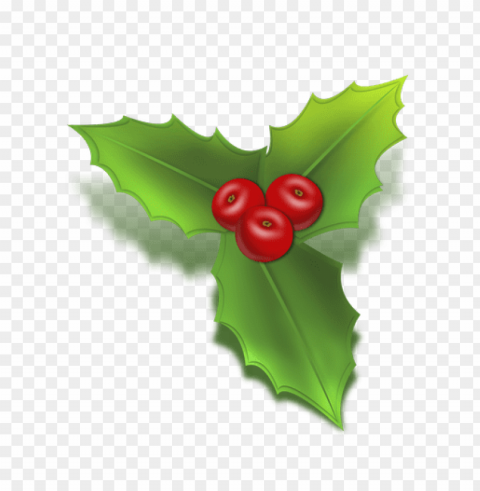 mistletoe PNG with clear overlay