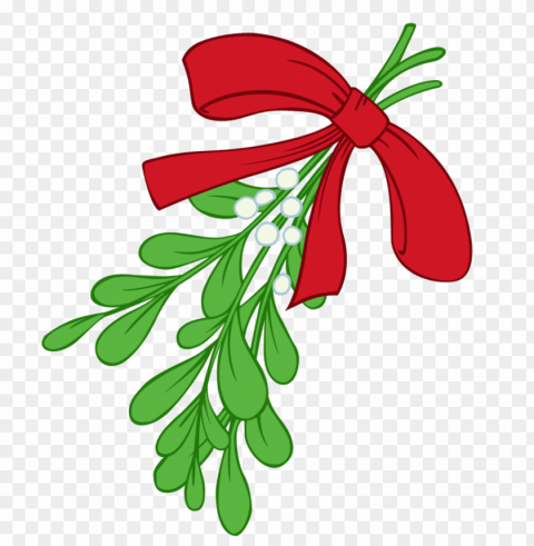 mistletoe PNG with clear transparency
