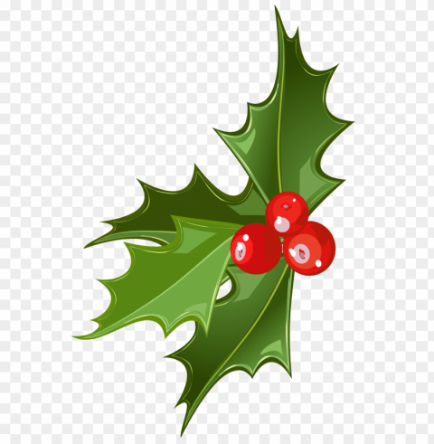 mistletoe PNG with cutout background