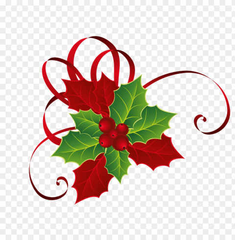 mistletoe PNG with Isolated Object