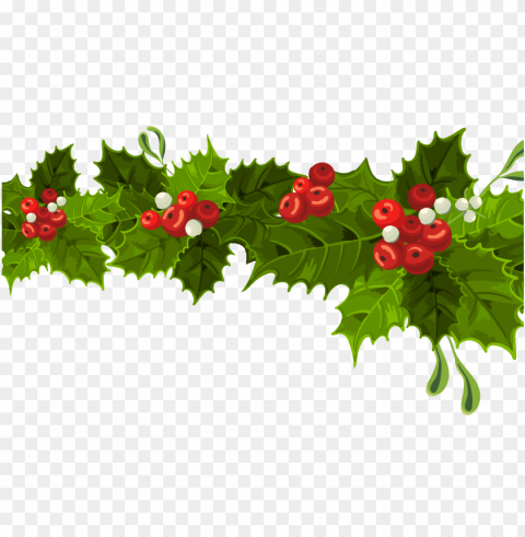 mistletoe PNG with Isolated Object and Transparency