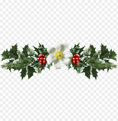 mistletoe PNG with no background diverse variety images Background - image ID is 75ea486f