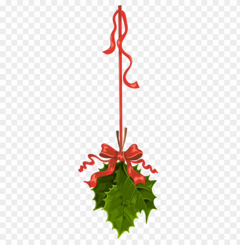 mistletoe PNG with no background for free