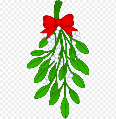 mistletoe PNG with no background free download images Background - image ID is 84d8c872