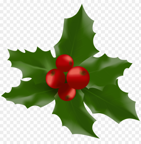 Mistletoe PNG With No Cost