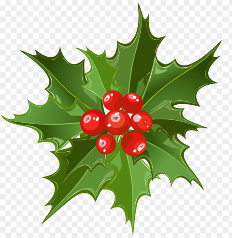 mistletoe PNG with no registration needed images Background - image ID is f9ff8e01