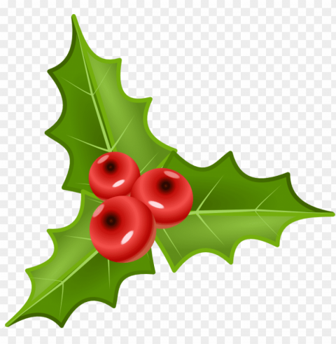 mistletoe PNG with transparent backdrop images Background - image ID is 32c83284