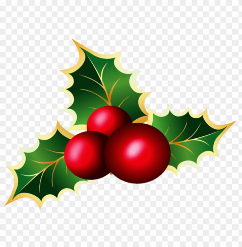 mistletoe PNG with transparent background for free