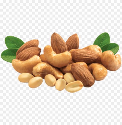 mixed nuts image transparent download - mix dry fruits PNG no watermark