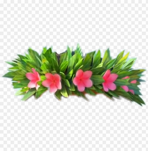 moana flower - moana flower crown Free PNG transparent images