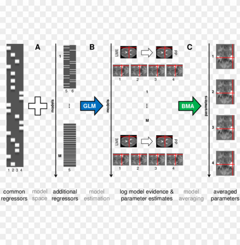 model averaging for general linear models in fmri data - fmri glm PNG without watermark free PNG transparent with Clear Background ID 7971d0b3