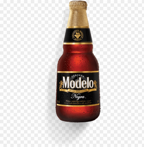 modelo negra modelo negra - modelo beer negra Isolated Object on Clear Background PNG