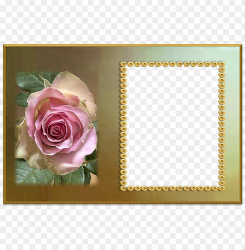 molduras para fotos com flores trabalho de terezinha - molduras para fotos e flores Transparent Background Isolated PNG Illustration