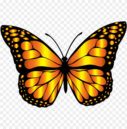 monarch butterfly clipart PNG Image with Clear Isolation