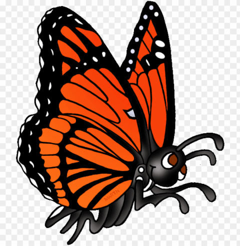 monarch butterfly clipart viceroy butterfly - butterfly phillip martin clipart High-resolution transparent PNG files