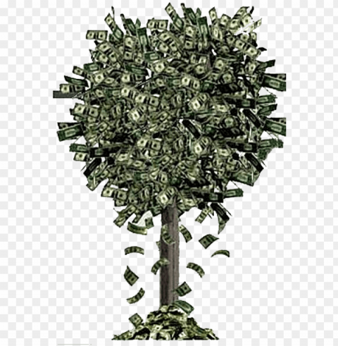 money tree falling money - money falling off trees PNG clipart with transparent background
