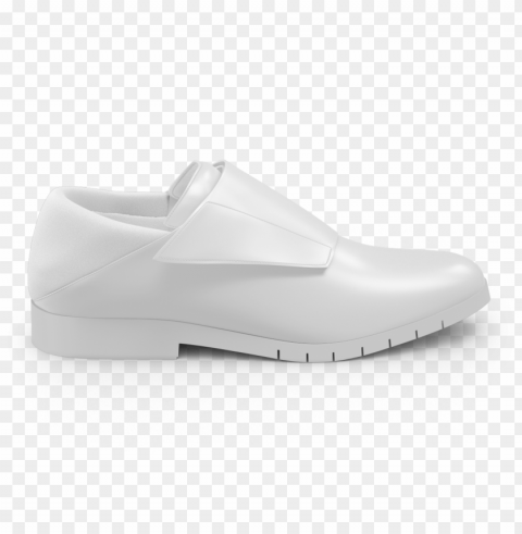 monk-checkout v1467908451 - slip-on shoe Isolated Design in Transparent Background PNG