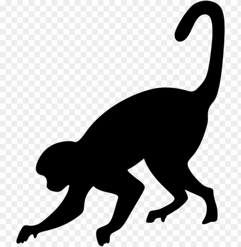 Monkey PNG Isolated Subject On Transparent Background