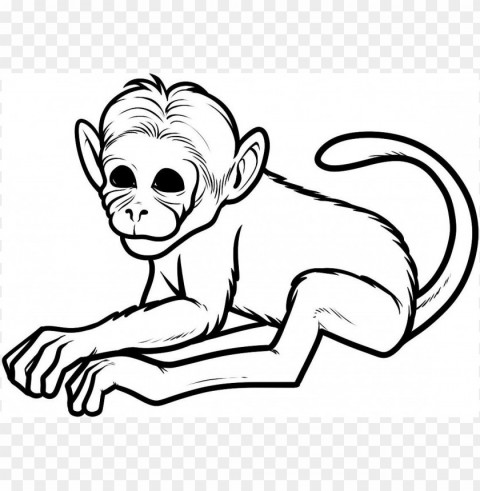 monkey coloring Isolated Graphic on HighResolution Transparent PNG PNG transparent with Clear Background ID bd1e1b1c