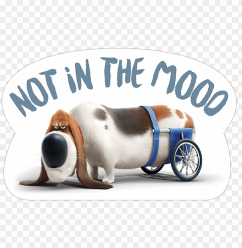 不在mooo - secret life of pets dog with wheels PNG cutout