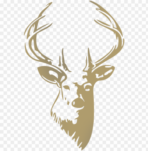 More From - Deer Head PNG Images Without Licensing