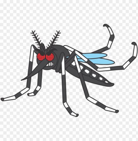 mosquito desenho Transparent Background Isolation in PNG Image