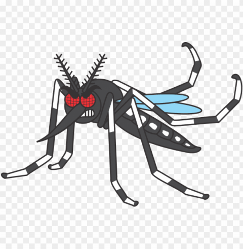 mosquito desenho Transparent Background Isolation in PNG Image PNG transparent with Clear Background ID 2a6d7524