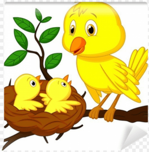 mother bird and baby bird Transparent background PNG images complete pack