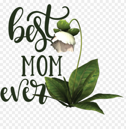 Mother's Day Drawing Flower Design for Happy Mother's Day for Mothers Day PNG images with transparent canvas compilation