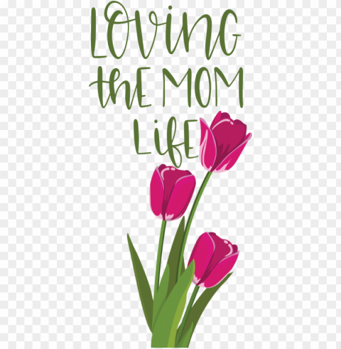 Mother's Day Floral design Plant stem Tulip for Love You Mom for Mothers Day Isolated Subject on HighQuality PNG