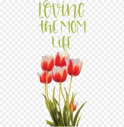 Mother's Day Flower Cut flowers Floral design for Love You Mom for Mothers Day PNG Image with Isolated Subject